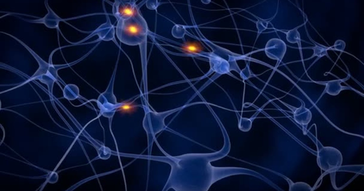 ATRIUM HEALTH MULTIPLE SCLEROSIS AND AUTOIMMUNE NEUROLOGY CENTER visual data 6